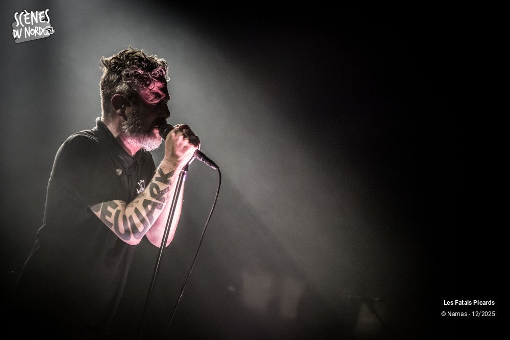 13/20 photos du spectacle Les Fatals Picards