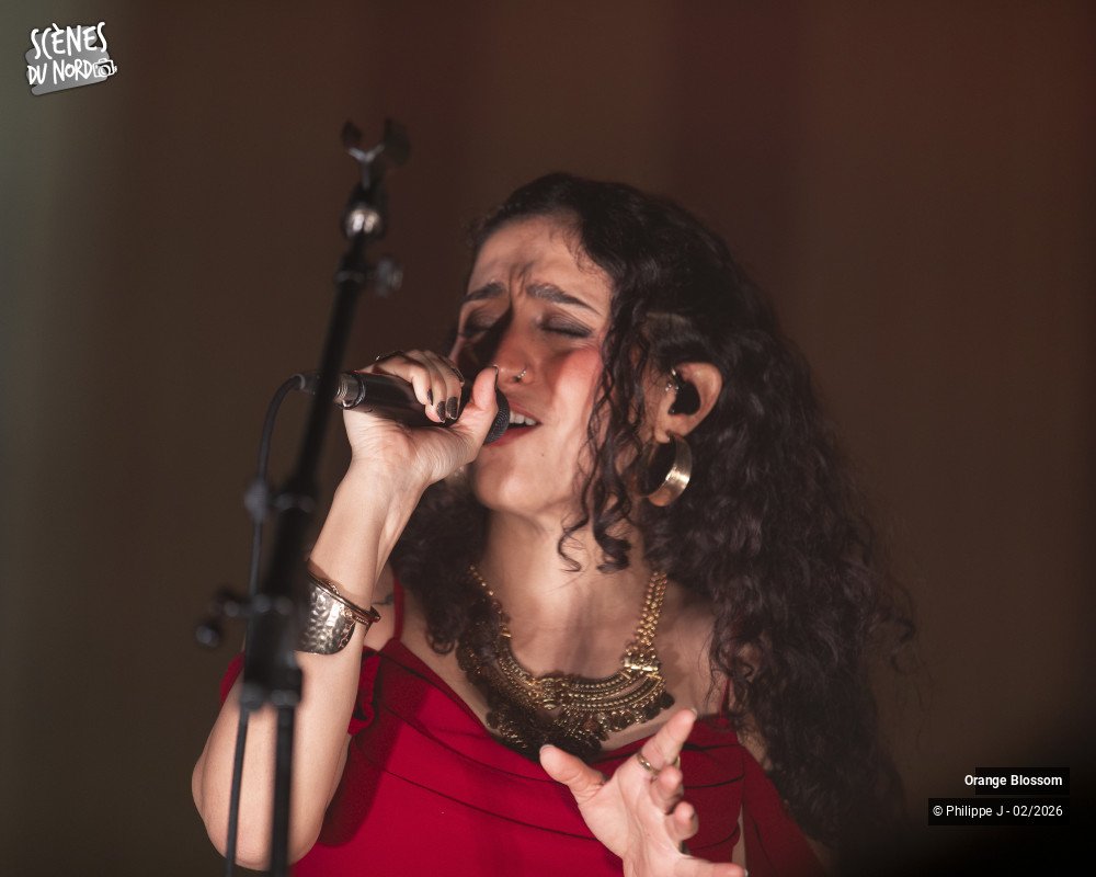 19/20 photos du spectacle Orange Blossom