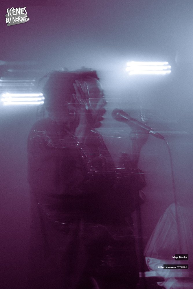 11/14 photos du spectacle Magi Merlin