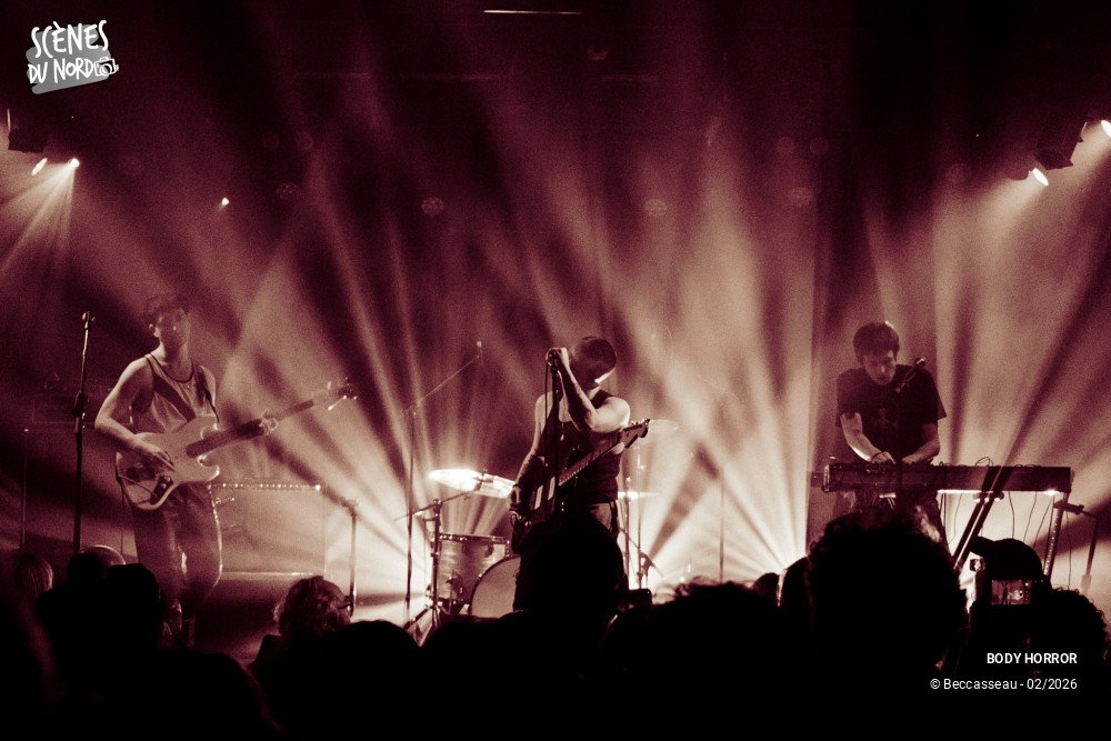 2/20 photos du spectacle BODY HORROR