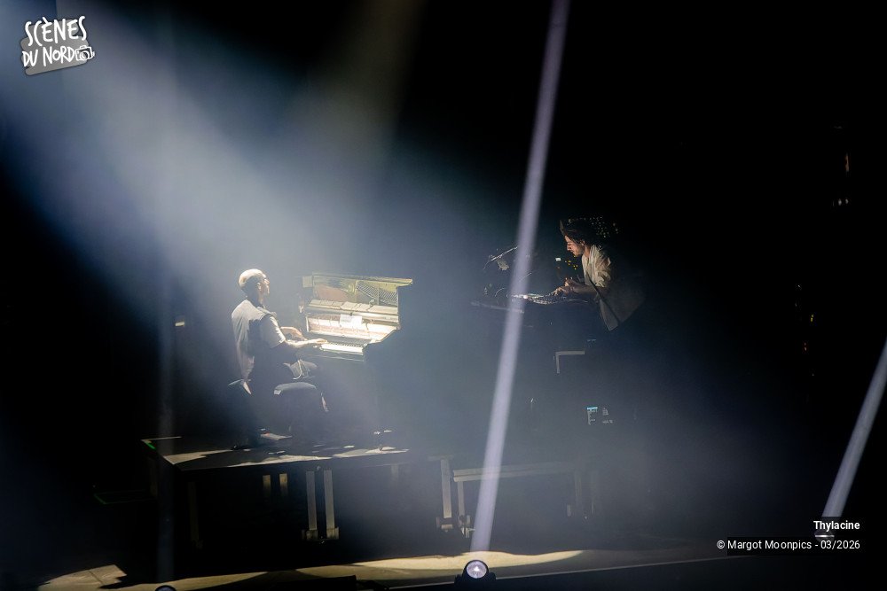 13/18 photos du spectacle Thylacine