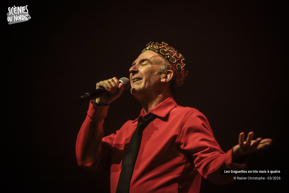 1/20 photos du spectacle Les Goguettes