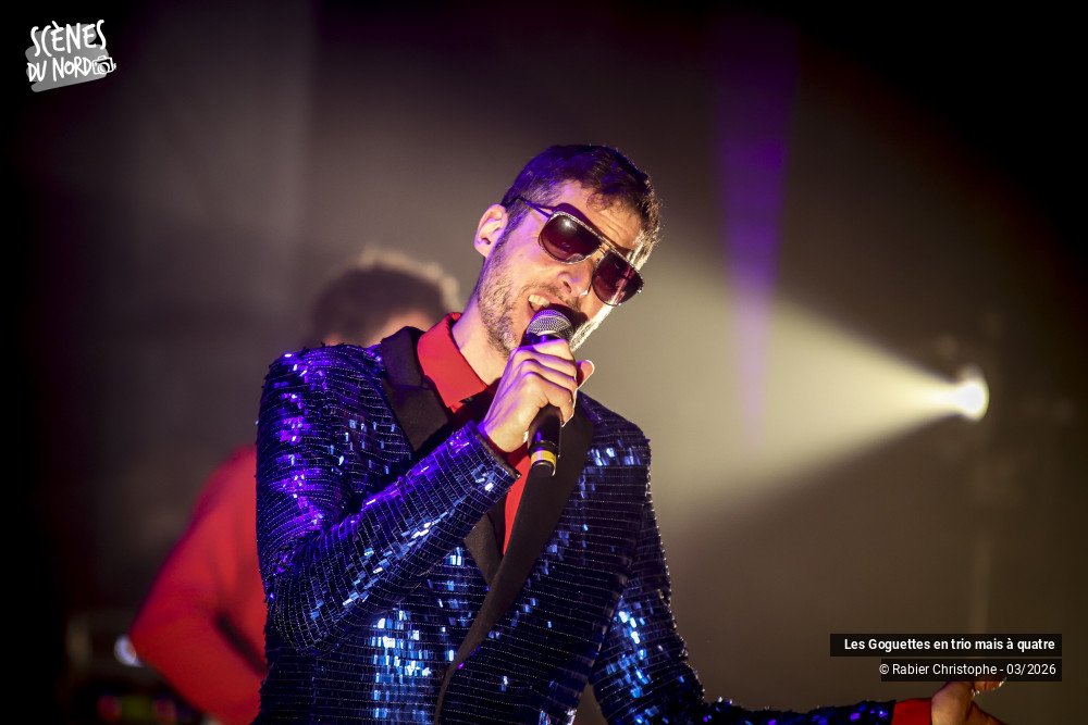 4/20 photos du spectacle Les Goguettes