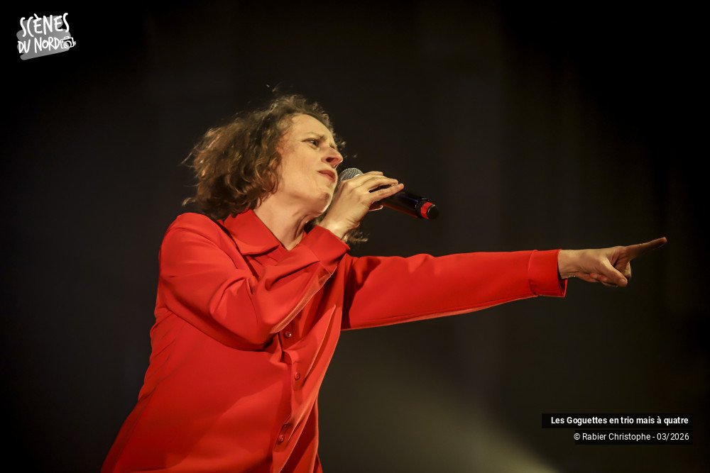 11/20 photos du spectacle Les Goguettes