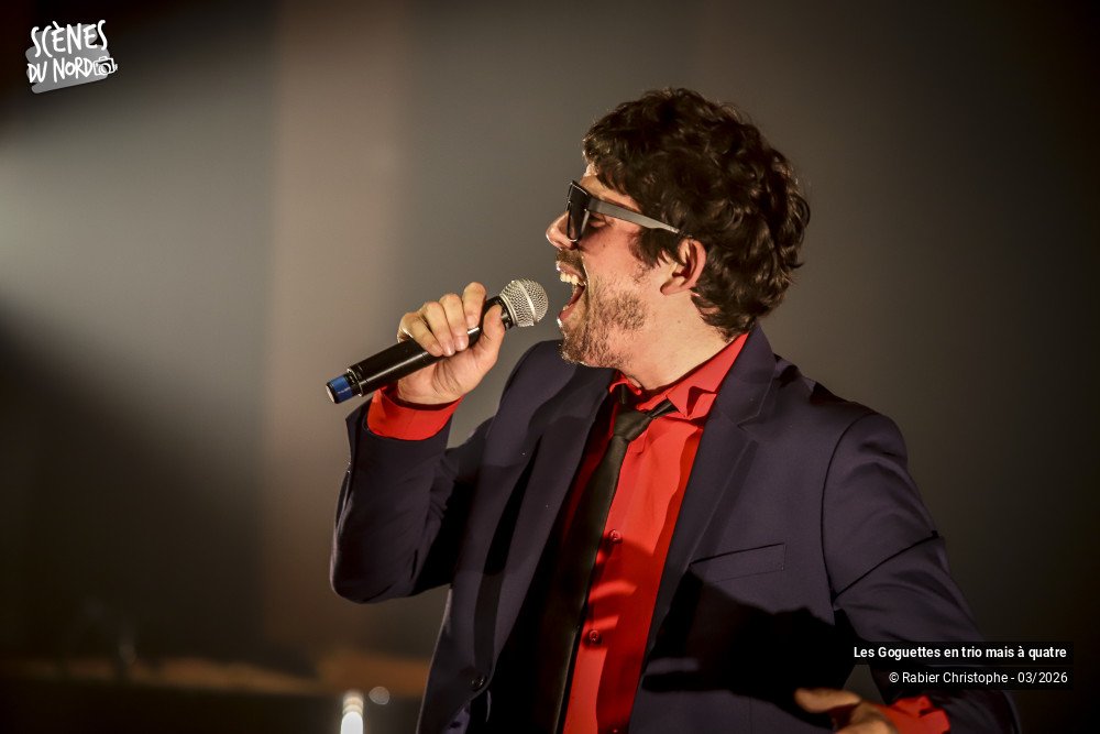 13/20 photos du spectacle Les Goguettes