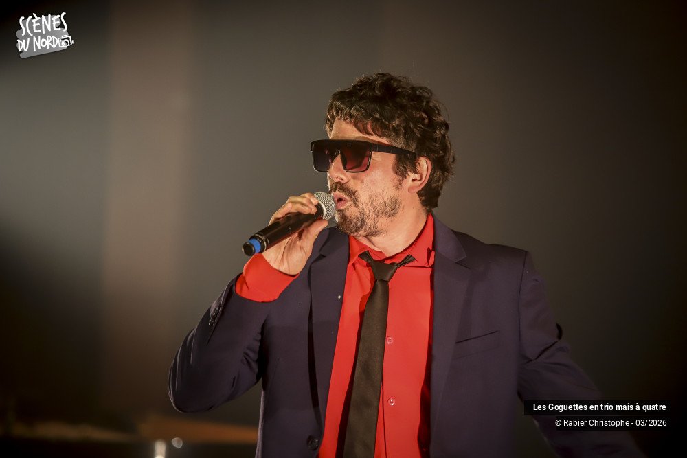14/20 photos du spectacle Les Goguettes