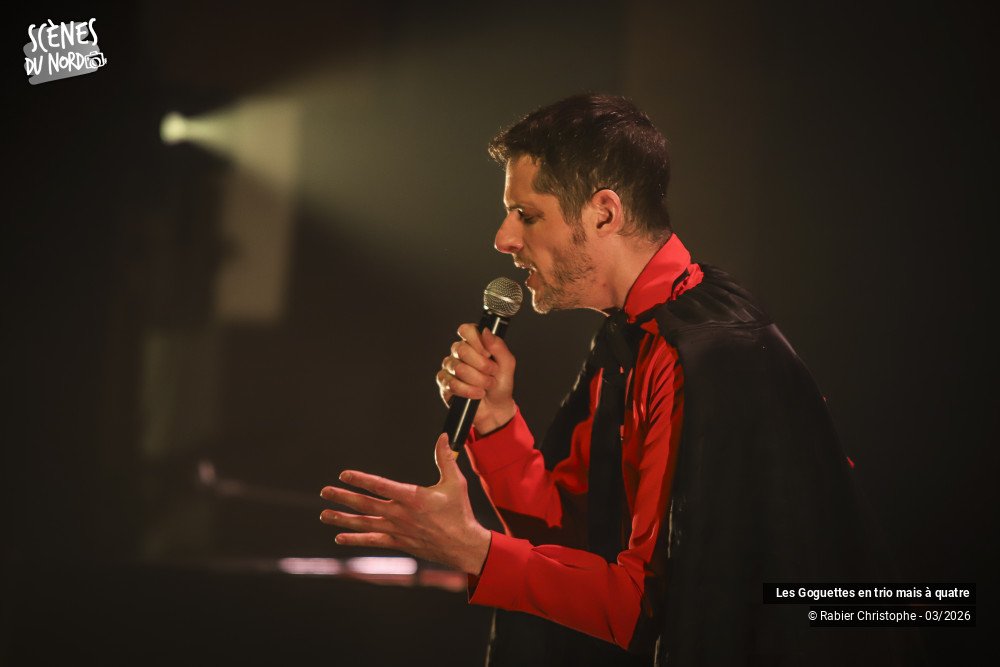 17/20 photos du spectacle Les Goguettes