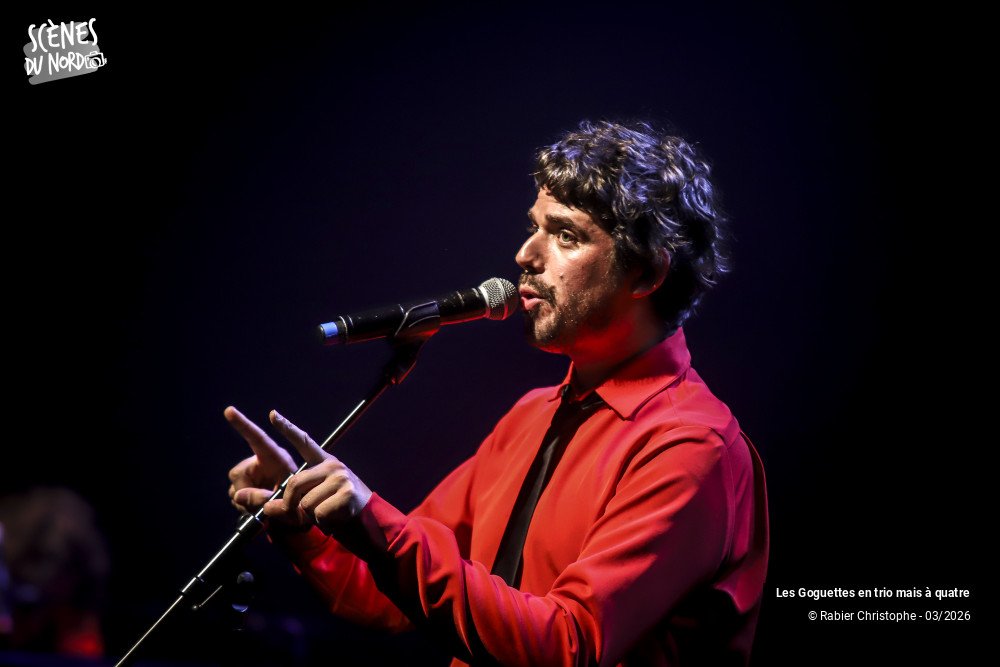 20/20 photos du spectacle Les Goguettes