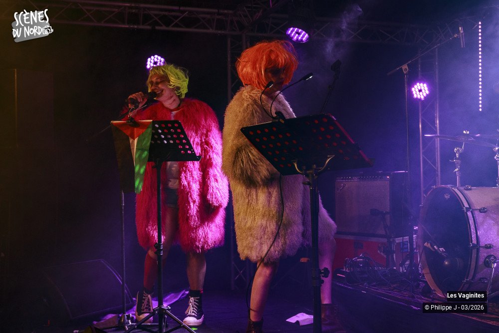 2/12 photos du spectacle Les Vaginites