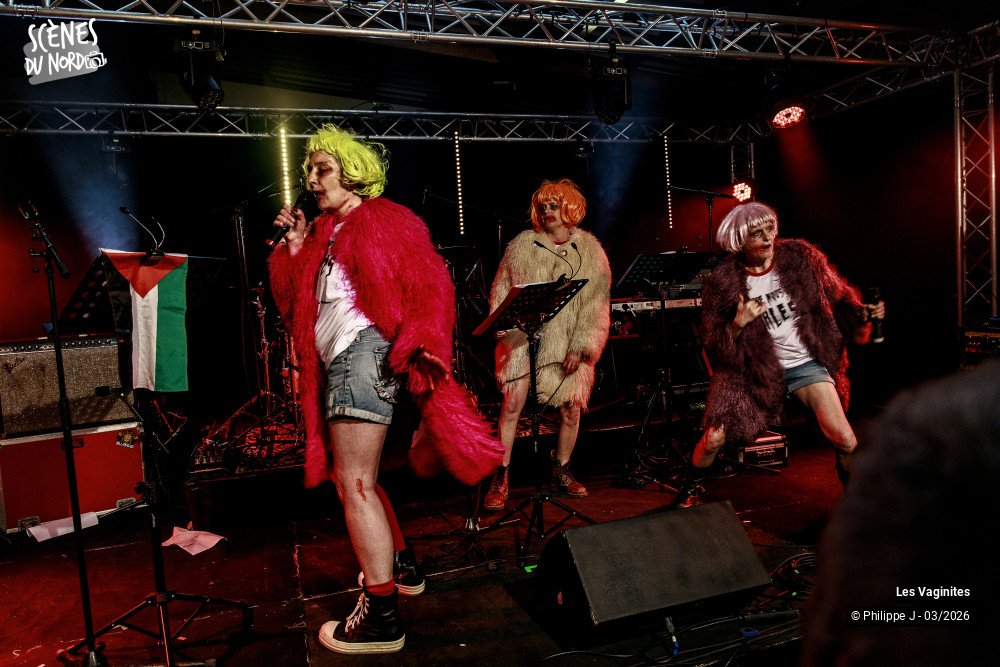 4/12 photos du spectacle Les Vaginites