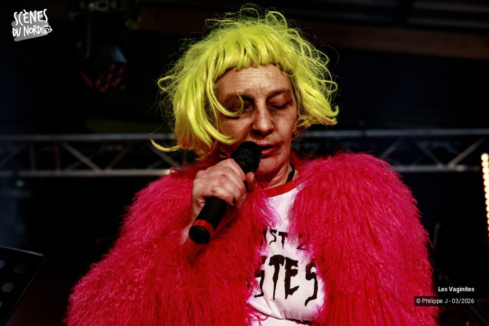 5/12 photos du spectacle Les Vaginites
