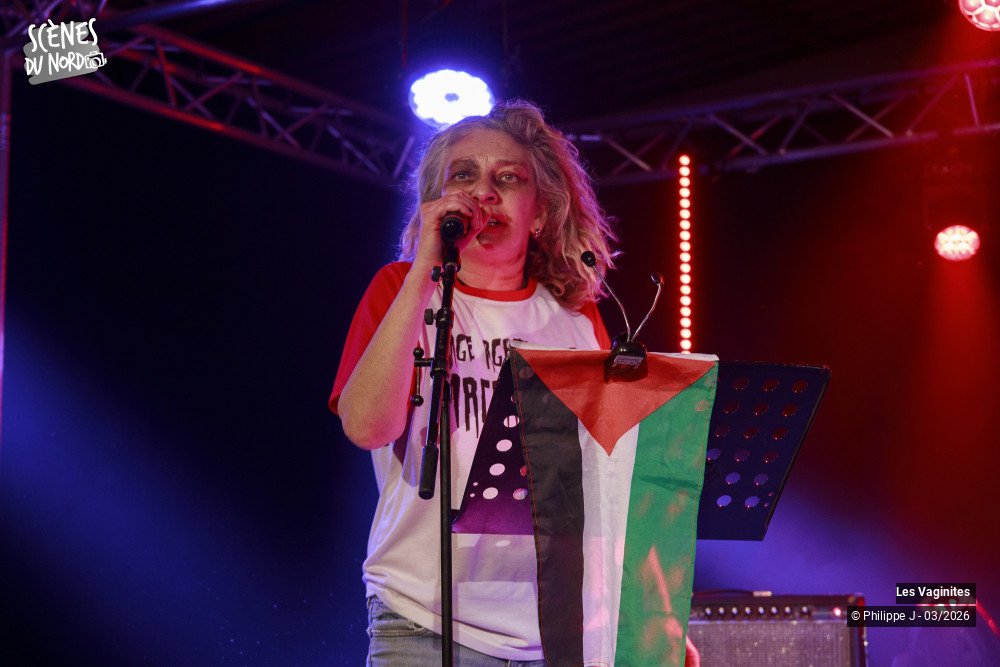 8/12 photos du spectacle Les Vaginites