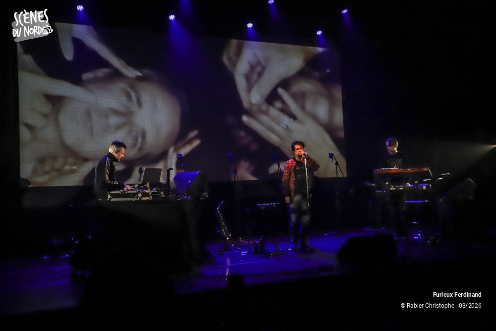 5/20 photos du spectacle Furieux Ferdinand