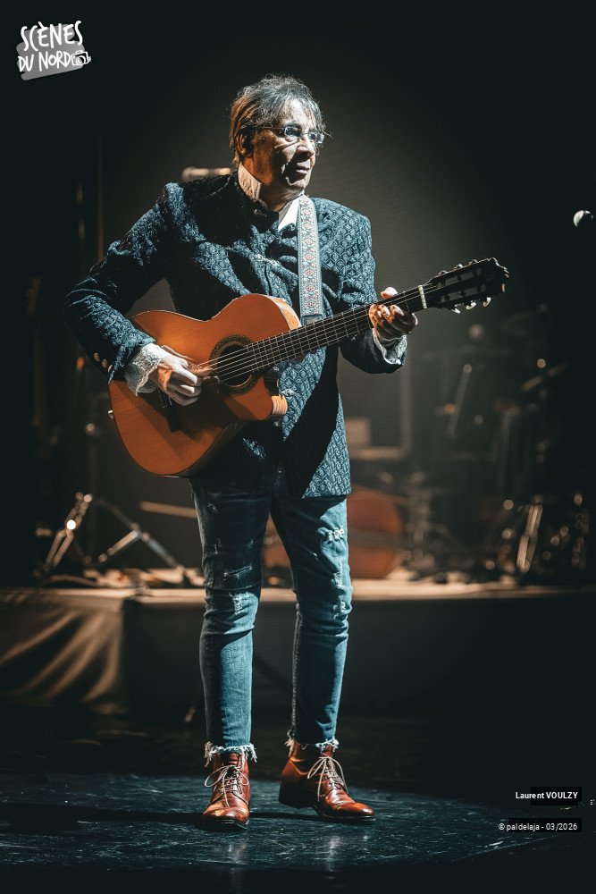 1/12 photos du spectacle Laurent Voulzy