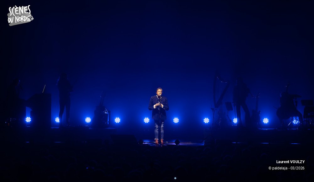 6/12 photos du spectacle Laurent Voulzy