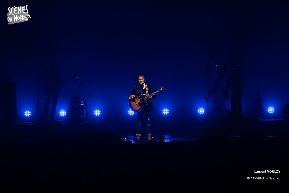 8/12 photos du spectacle Laurent Voulzy