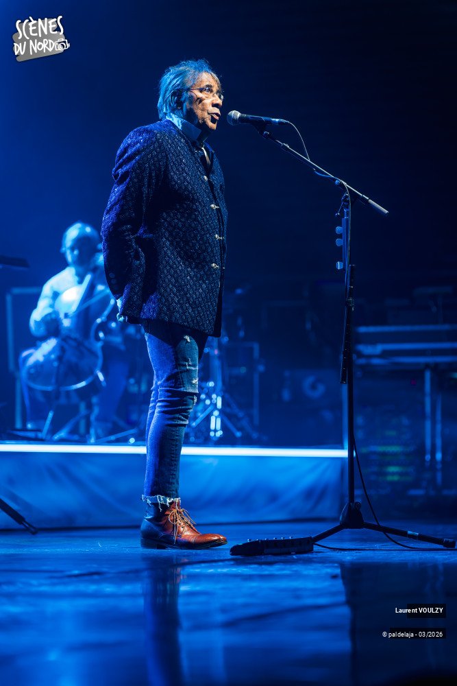 12/12 photos du spectacle Laurent Voulzy