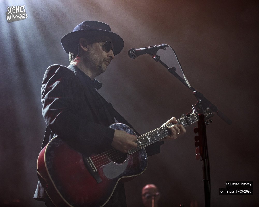 2/20 photos du spectacle The Divine Comedy