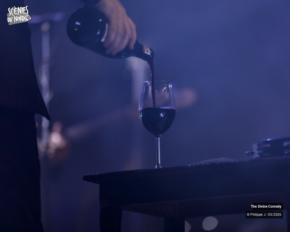 8/20 photos du spectacle The Divine Comedy