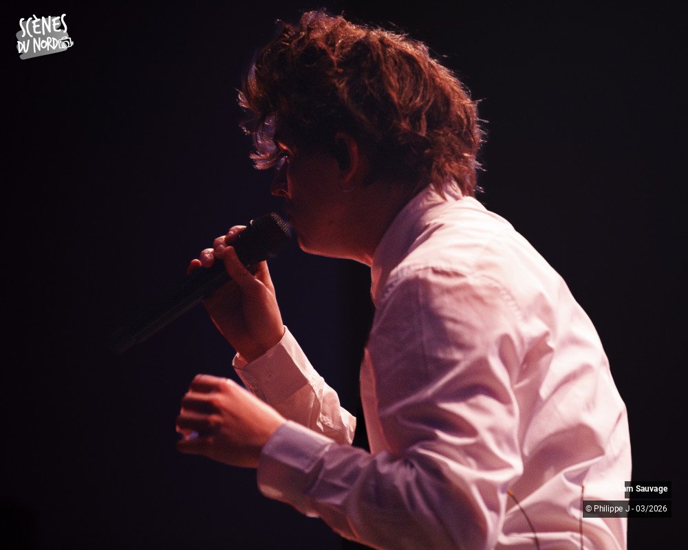 13/20 photos du spectacle Sam Sauvage