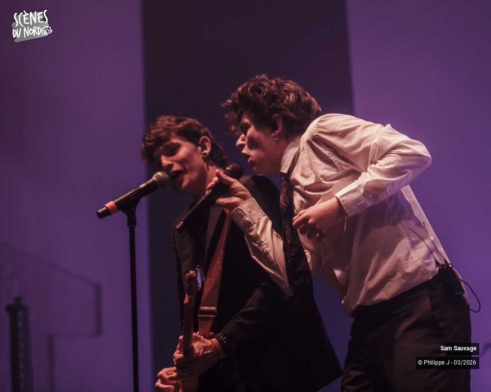 15/20 photos du spectacle Sam Sauvage