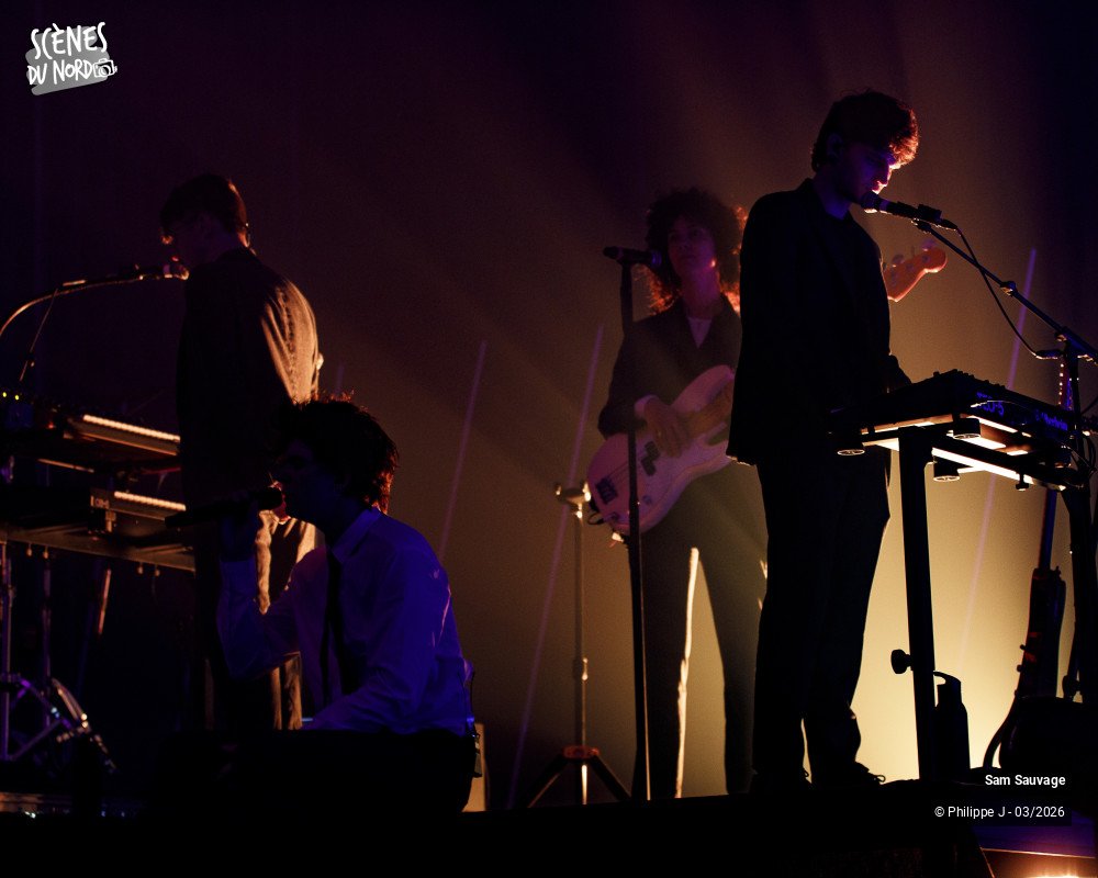 16/20 photos du spectacle Sam Sauvage