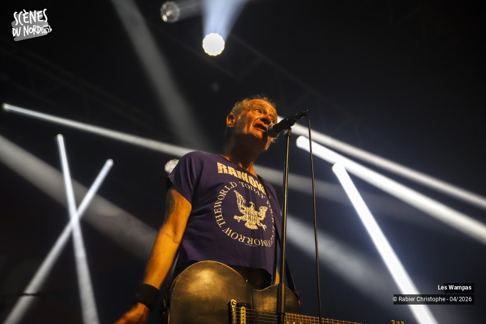 13/20 photos du spectacle Les Wampas