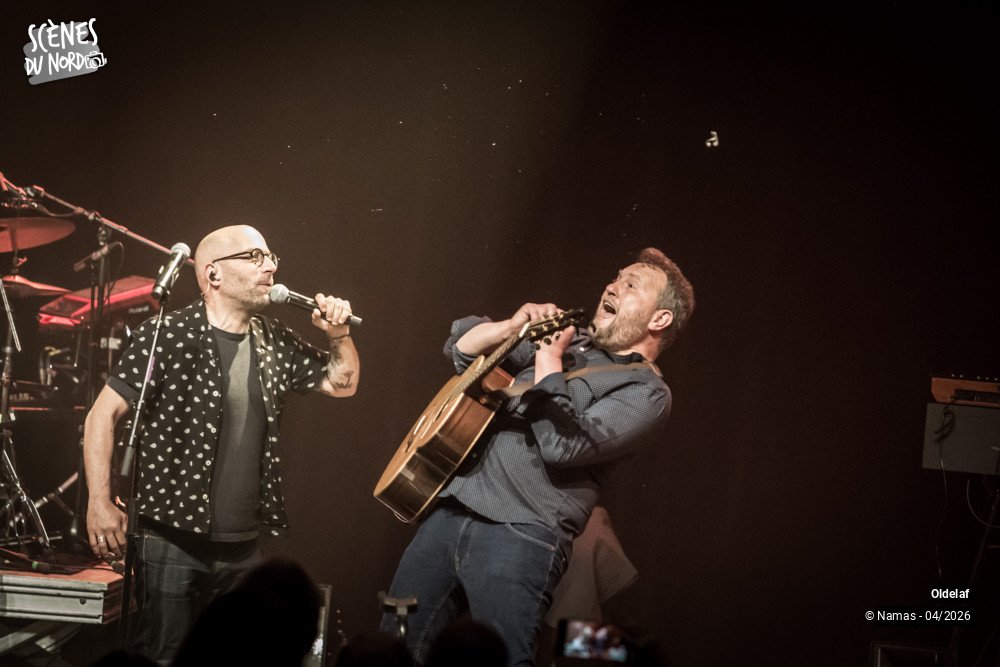 17/20 photos du spectacle Oldelaf