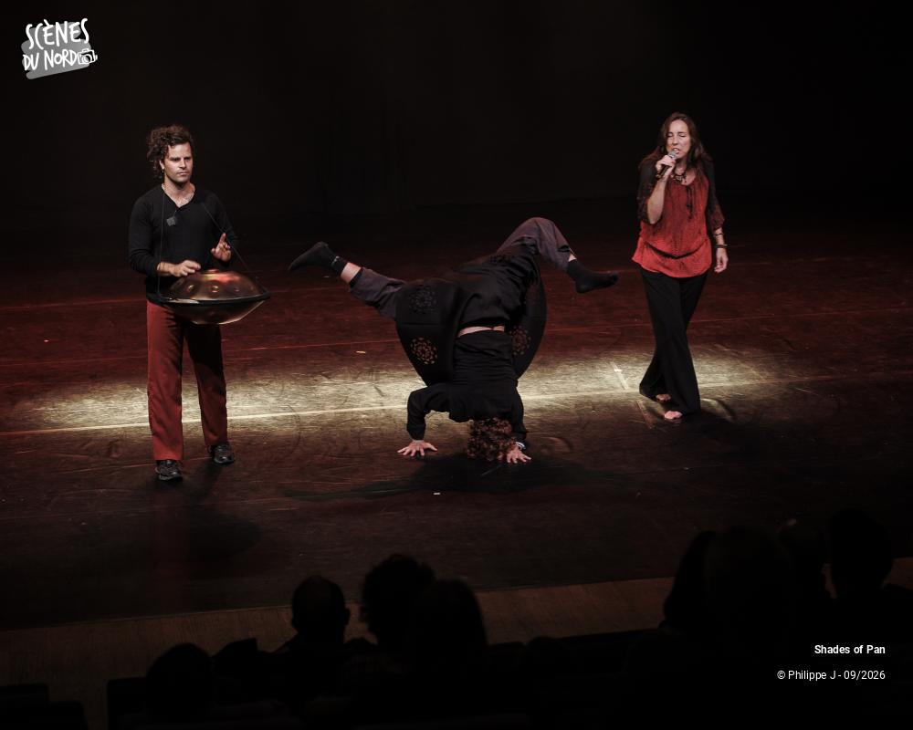 14/20 photos du spectacle Shades of Pan en trio