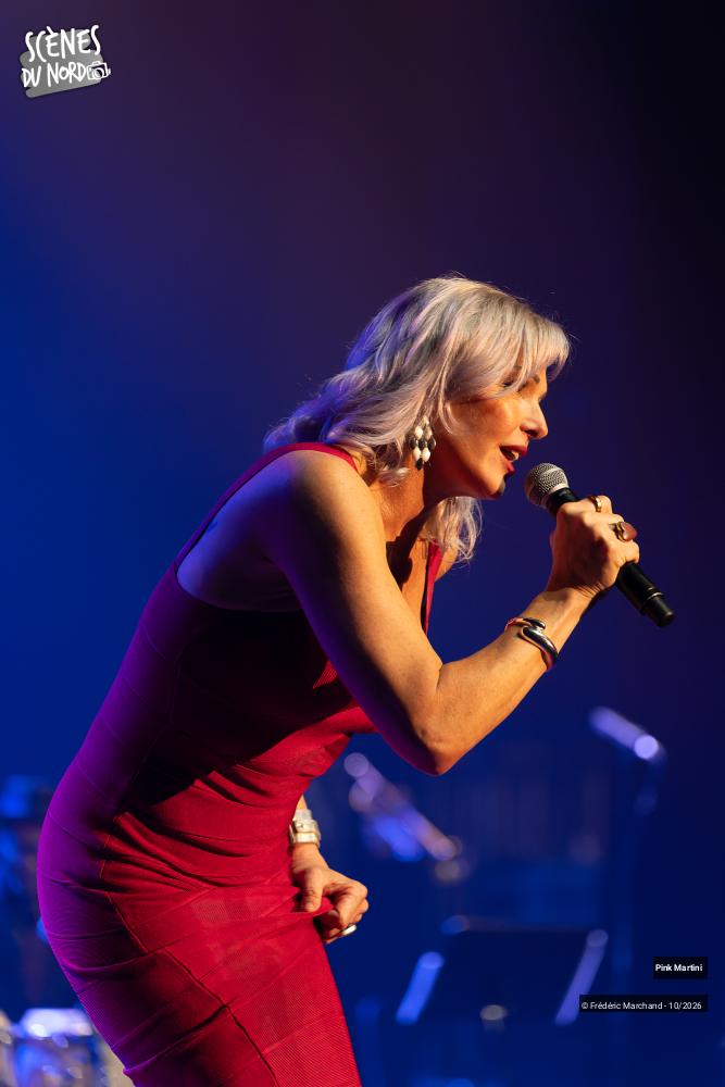 1/16 photos du spectacle Pink Martini