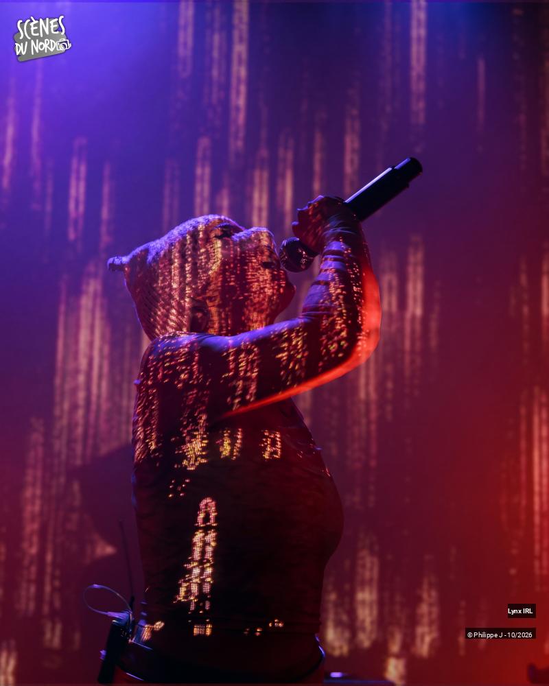 11/20 photos du spectacle Lynx IRL