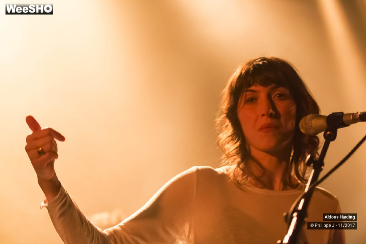 Aldous Harding