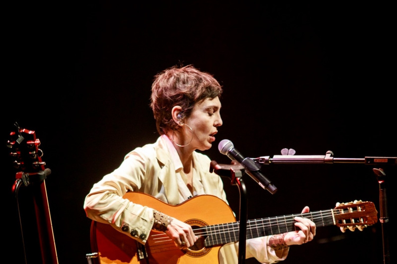 Adriana Calcanhotto