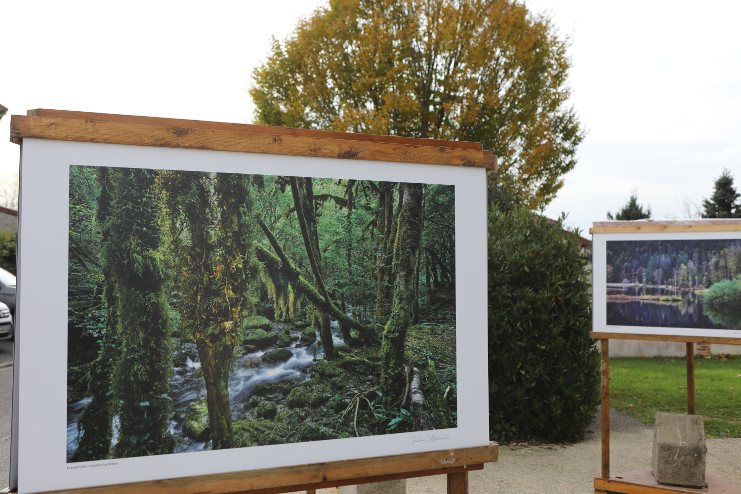 Festival international de la photos  animalière et de la nature