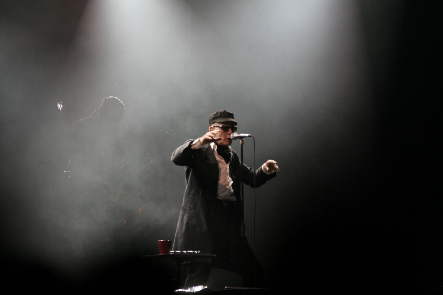 Alain BASHUNG
