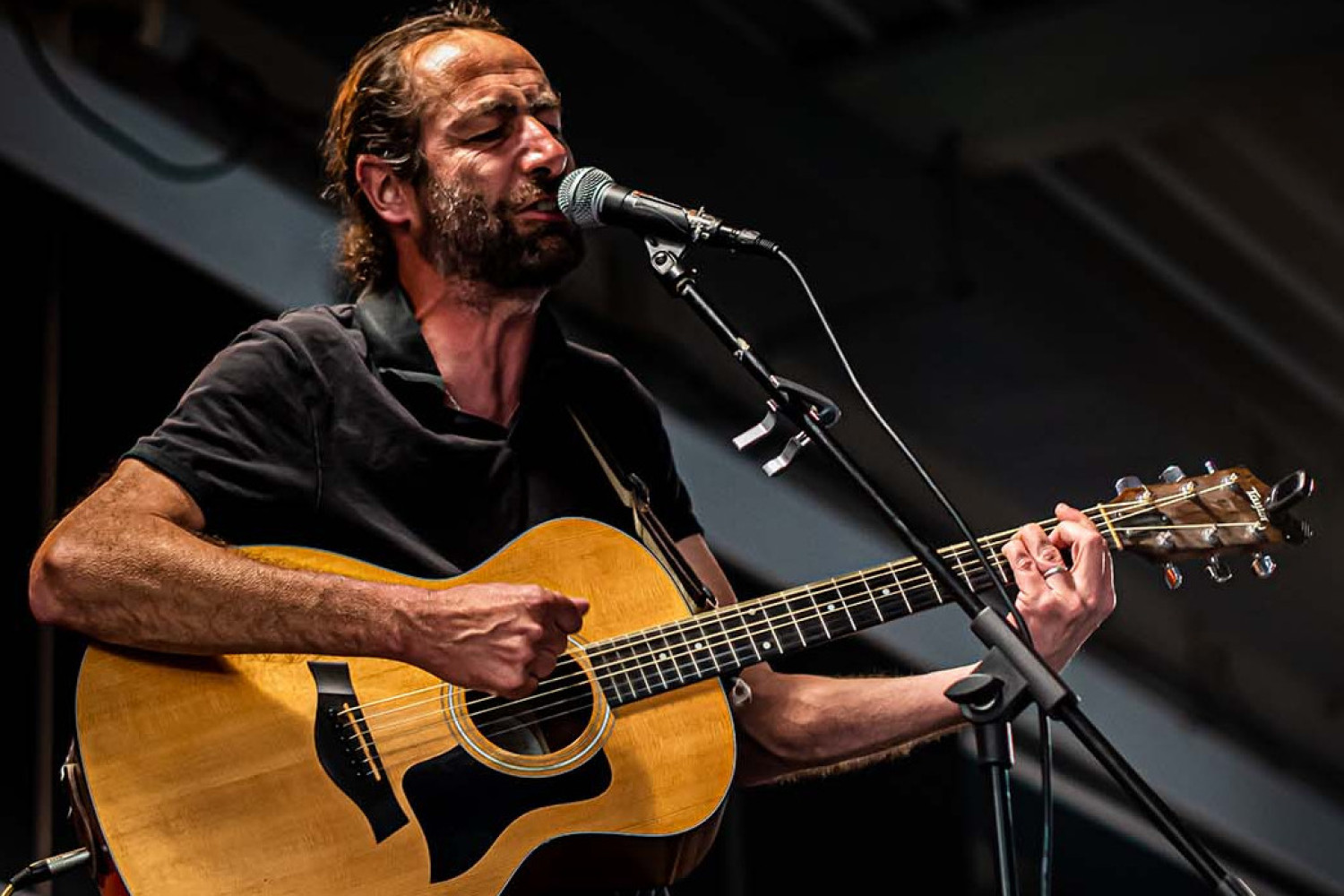 Richie Cunningham au festival de l'arbre