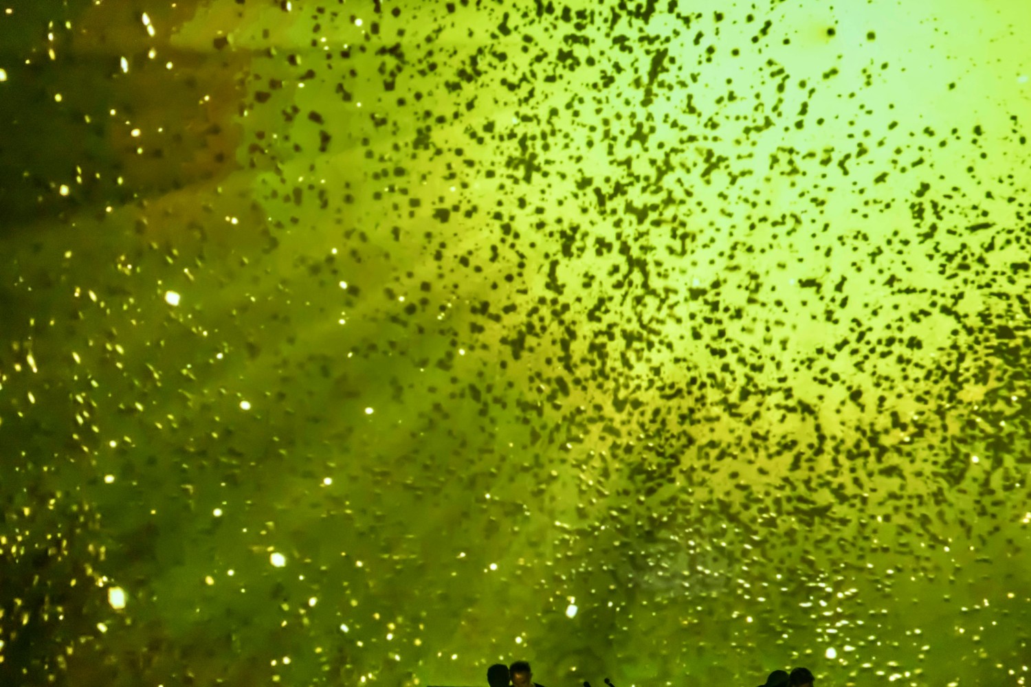 Yann Tiersen